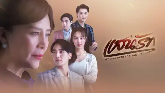 Poster phim Gia Đình (Không) Hoàn Hảo Của Tôi