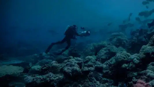 Poster phim Màn đêm trên Trái Đất: Thước phim trong bóng tối