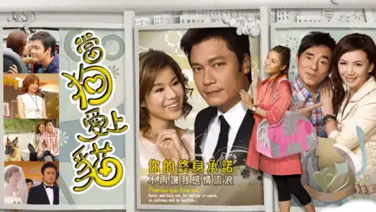 Poster phim Khi Chó Yêu Mèo