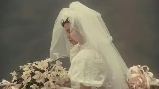 Poster phim Lưu Kim Tuế Nguyệt (1988)