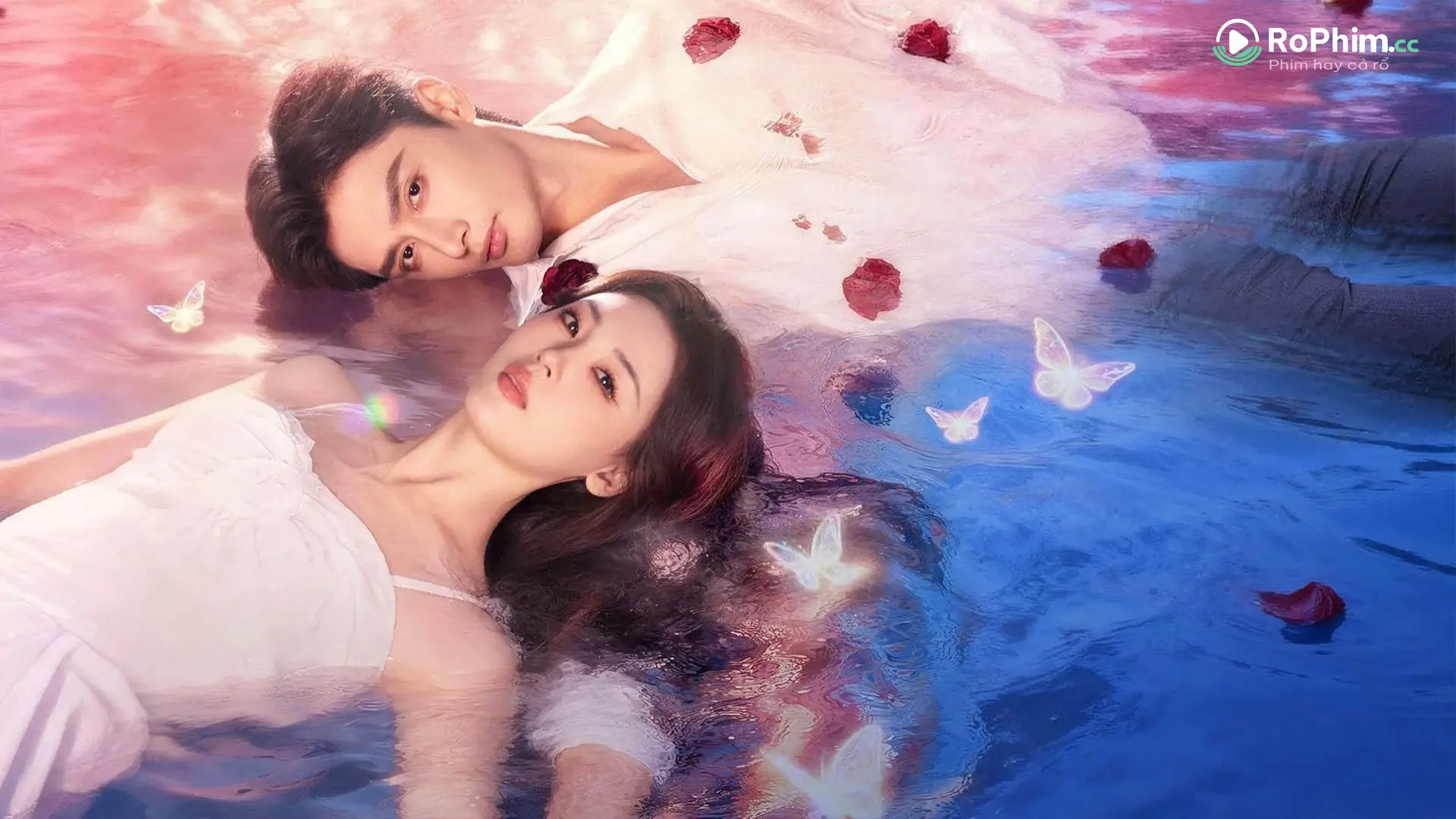 Poster phim Phá Kén Hoá Lửa