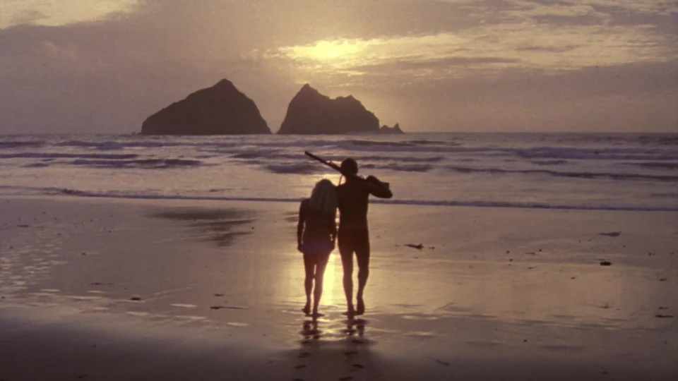 Poster phim Nhiệm Vụ Tình Dục